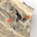 Apuanite