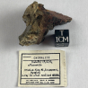 Cheralite, USA