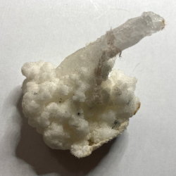 Thénardite, USA