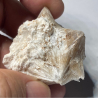 Veatchite and Ulexite, USA