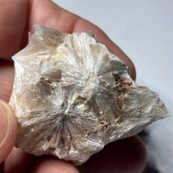 Veatchite et Ulexite, USA