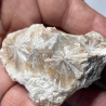 Veatchite et Ulexite, USA
