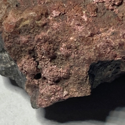 Erythrine, Allemagne