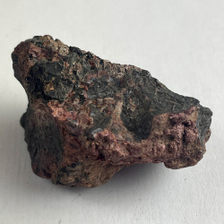 Erythrine, Allemagne