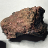 Erythrine, Allemagne