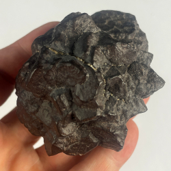 Pseudomorphose Hématite après Marcassite, Egypte