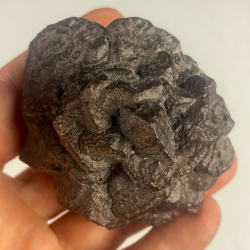 Pseudomorphose Hématite après Marcassite, Egypte