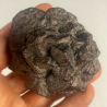 Pseudomorphose Hématite après Marcassite, Egypte