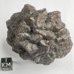 Pseudomorphose Hématite après Marcassite, Egypte
