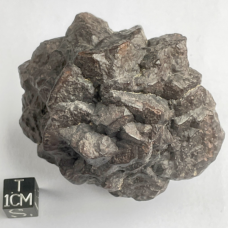 Pseudomorphose Hématite après Marcassite, Egypte