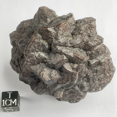 Pseudomorphose Hématite après Marcassite, Egypte