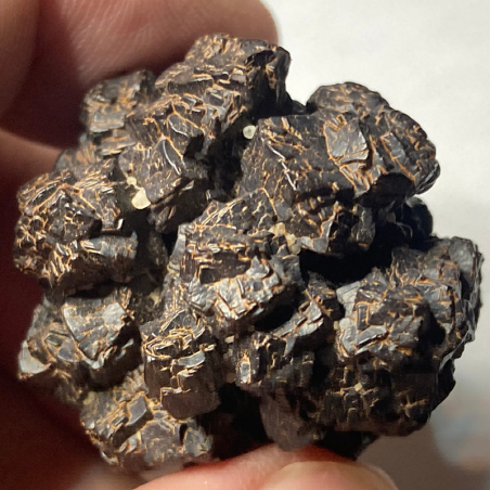 Pseudomorphose après Marcassite, Egypte