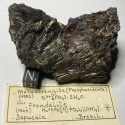 Métastrengite sur Frondélite, Brésil