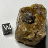Vesuvianite, Mexico