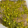 Autunite, France