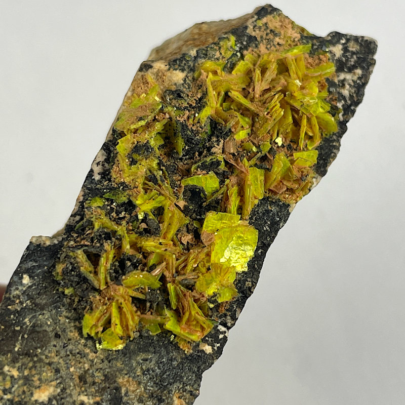 Autunite, France