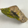 Autunite, France