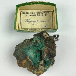 Chrysocolle, Chili
