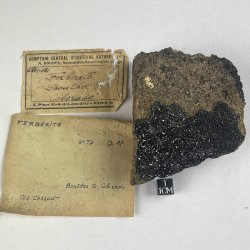 Ferbérite, USA