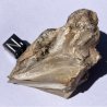 Pectolite, USA