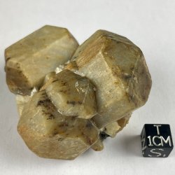 Scapolite