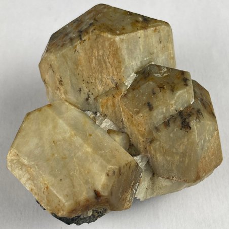 Scapolite