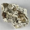 Phosphorite, France
