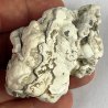 Phosphorite, France