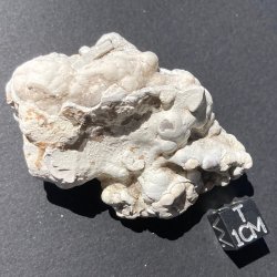 Phosphorite, France