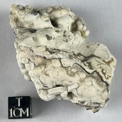 Phosphorite, France