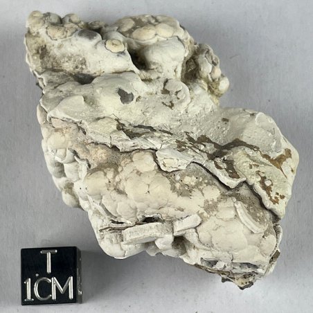 Phosphorite, France