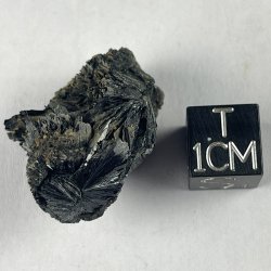 Vivianite,  Mullica Hill, USA