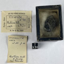 Vivianite,  Mullica Hill, USA