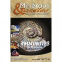 Minéraux et Fossiles N°344