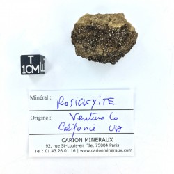 Rosickyite