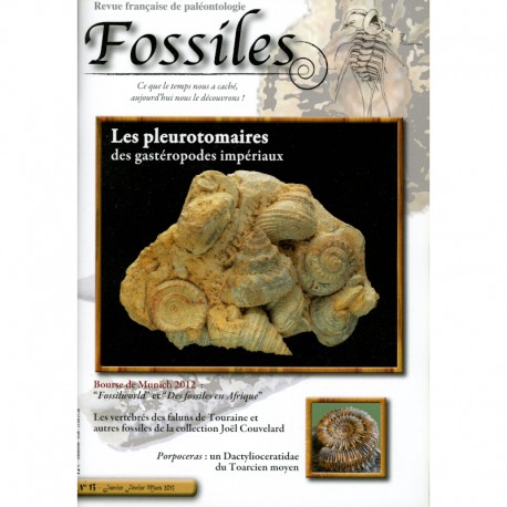 Fossiles N°13