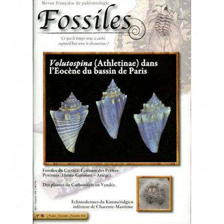 Fossiles N°16