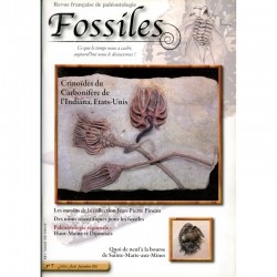 Fossiles N°7