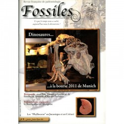 Fossiles N°09