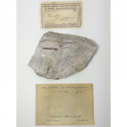 Trémolite et Valléite