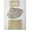 Trémolite et Valléite