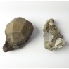 Pseudoleucite