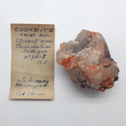 Cookeite