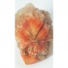 Scolecite