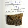 Koettigite