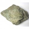 Actinote