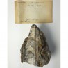 Acmite (Aégyrine)