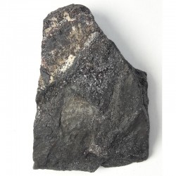 Kozulite