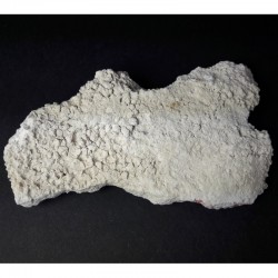 Magadiite