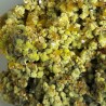 Mimetite and Wulfenite